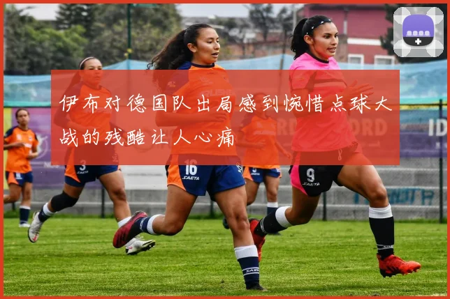 伊布对德国队出局感到惋惜点球大战的残酷让人心痛