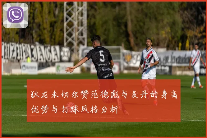 狄龙米切尔赞范德彪与麦丹的身高优势与打球风格分析